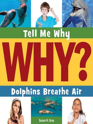 cover image of Dolphins Breathe Air